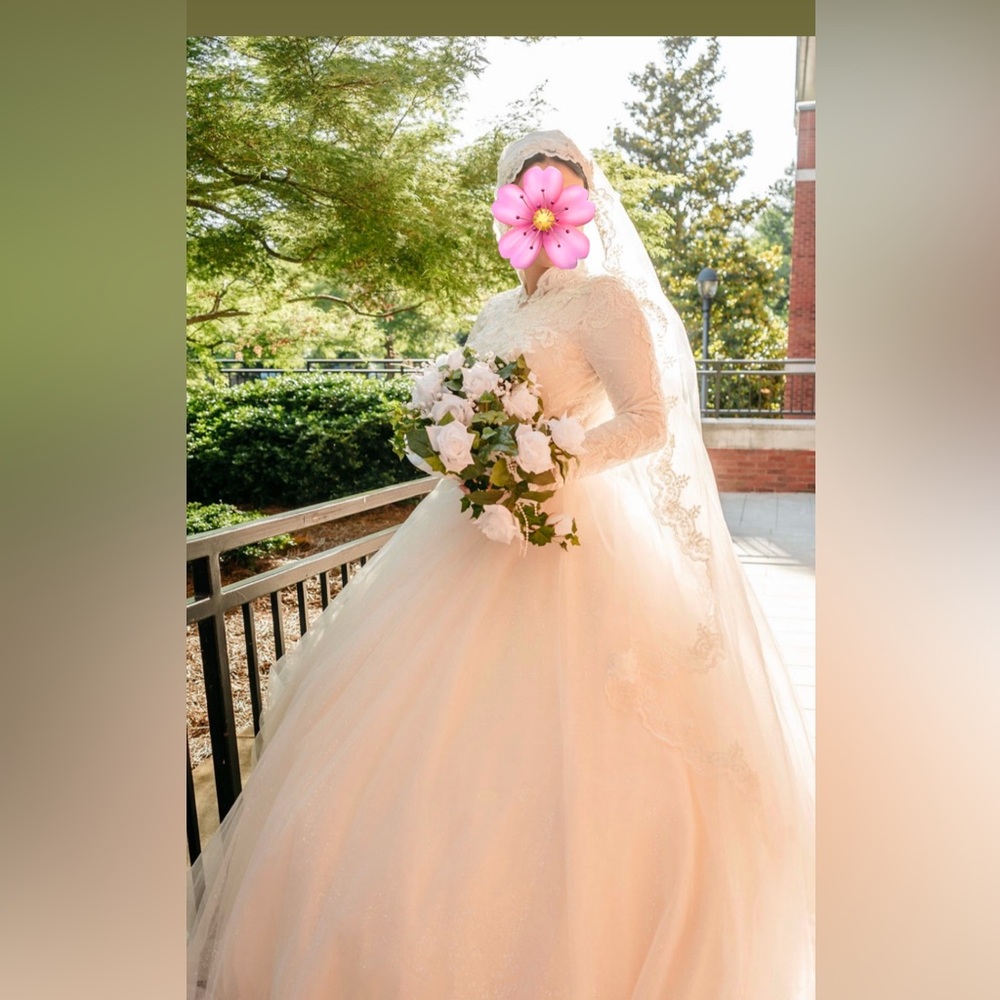 Elegant Luxurious ivory  Lace embroided Bridal Gown